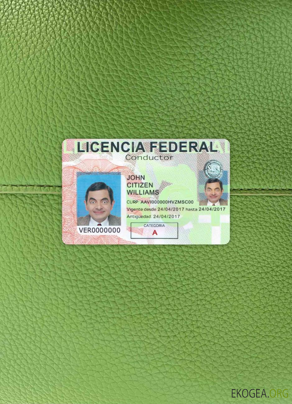 Photolook du permis de conduire du Mexique AVANT